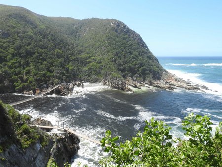 191104_111153-Tsitsikamma National Park met hangbrug.jpg